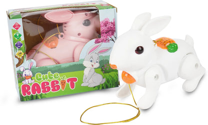 Crawling Rabbit Toy – Musical with Lights & Sounds for Kids Mix colour